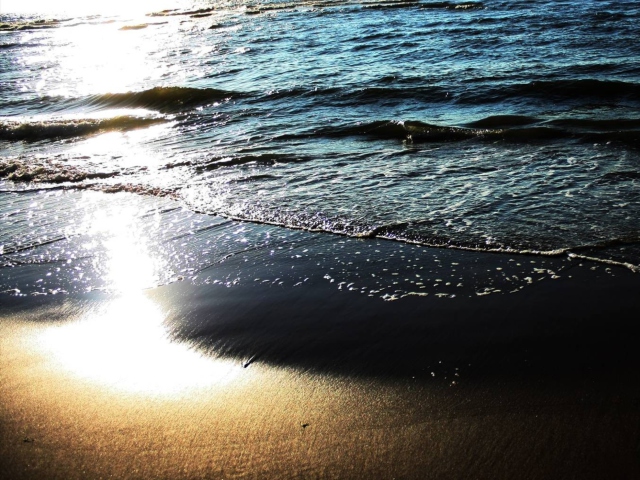 Beach Sunshine screenshot #1 640x480