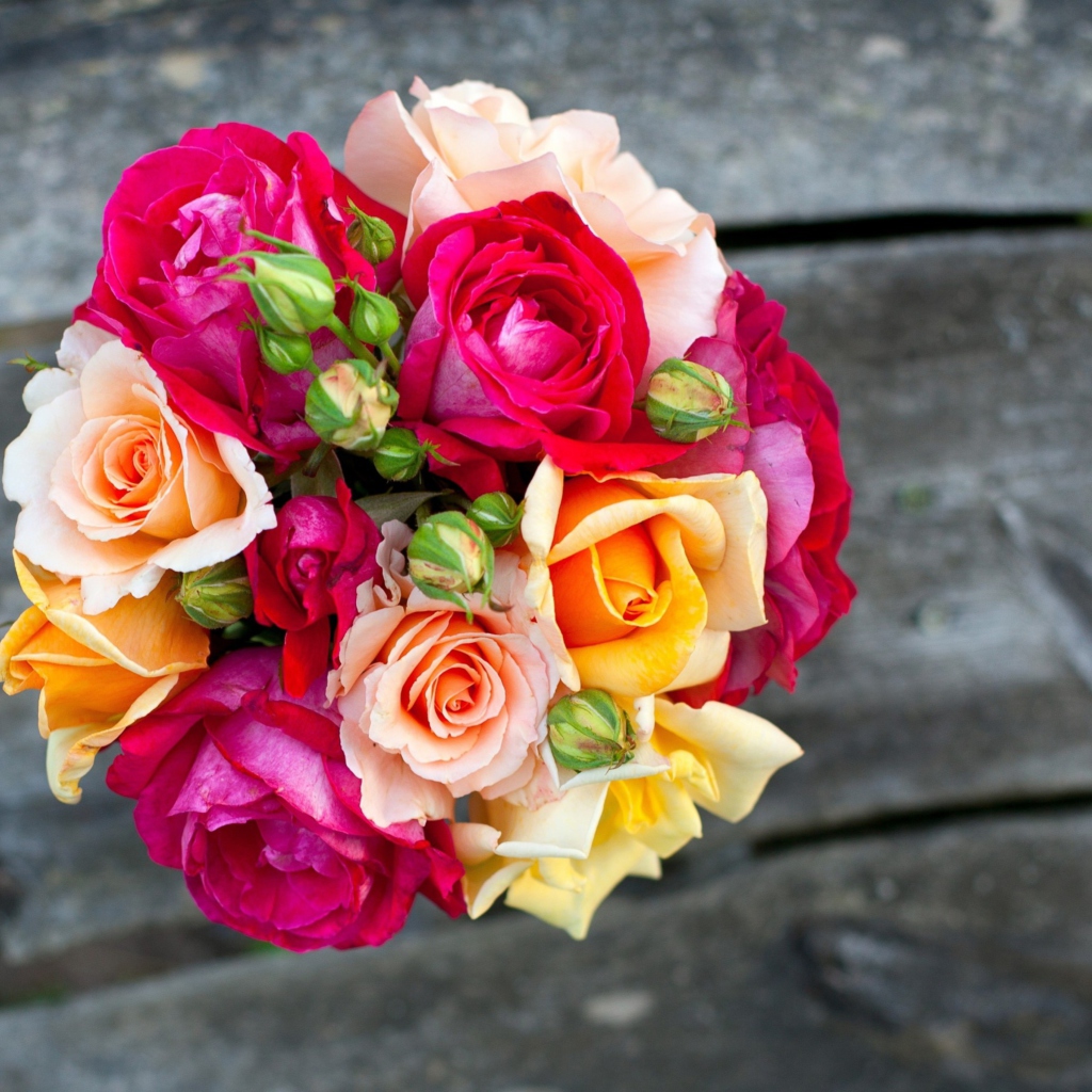 Das Amazing Roses Bouquet Wallpaper 1024x1024