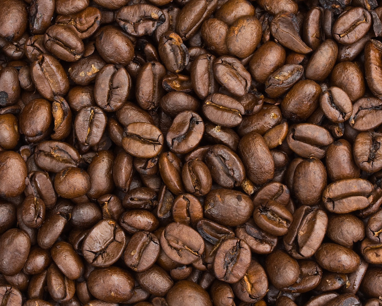 Fondo de pantalla Roasted Coffee Beans 1280x1024