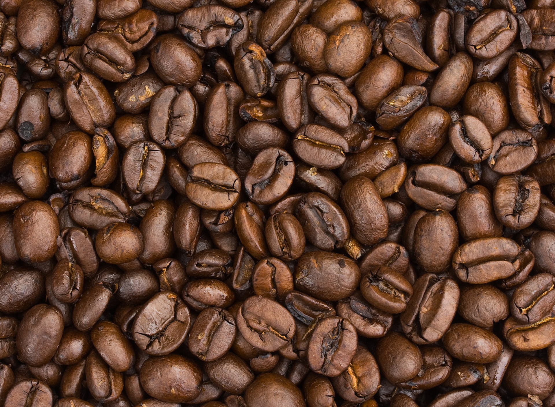 Roasted Coffee Beans wallpaper 1920x1408
