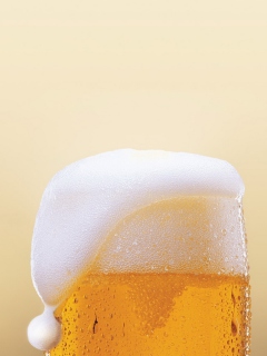 Fondo de pantalla Beer Picture 240x320