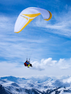 Fondo de pantalla Paragliding 240x320
