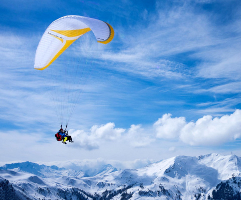 Paragliding wallpaper 480x400