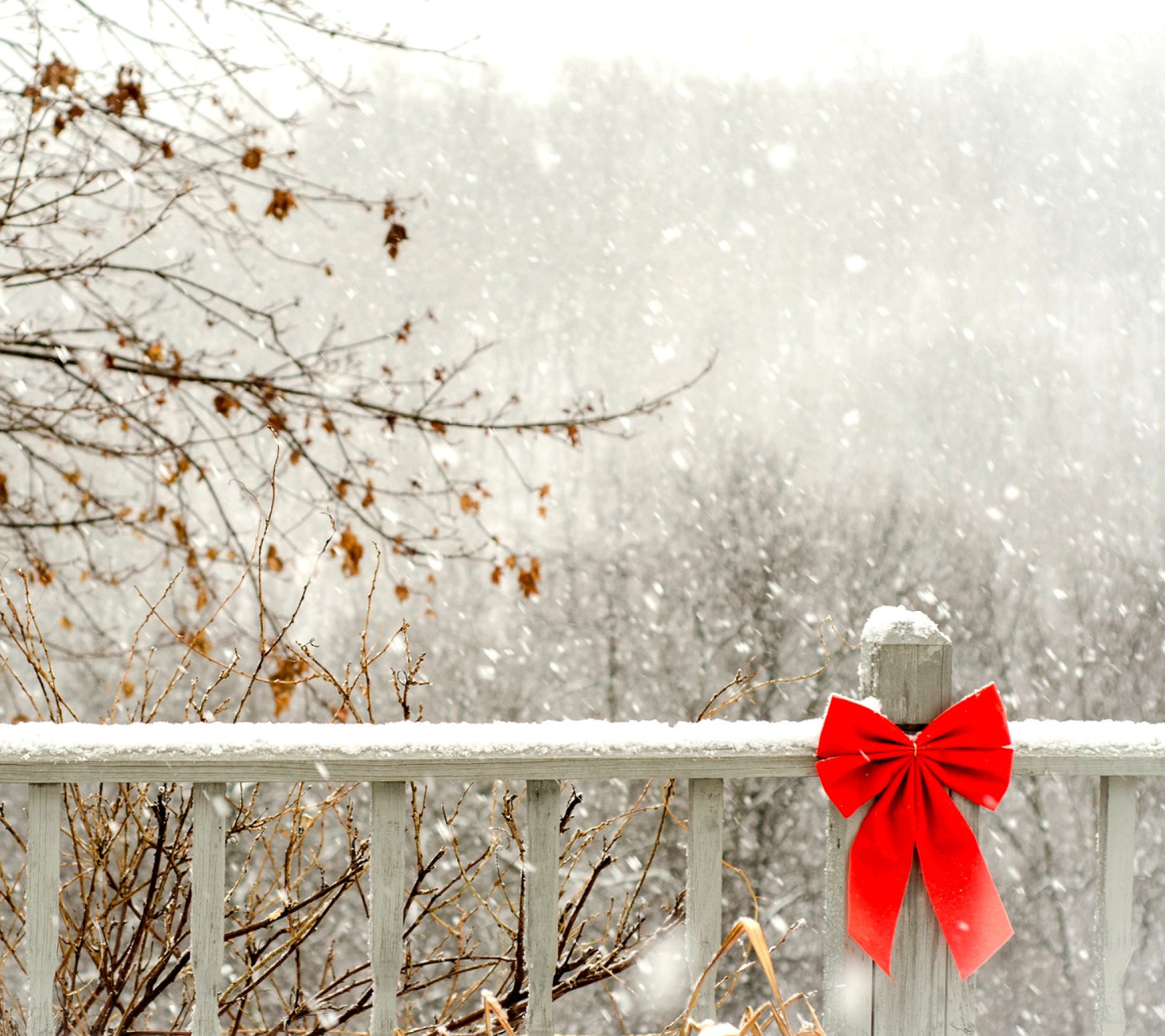 Sfondi Winter Fence 1440x1280