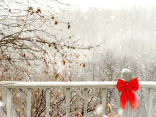 Обои Winter Fence 320x240