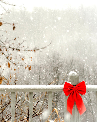 Winter Fence - Obrázkek zdarma pro 320x480