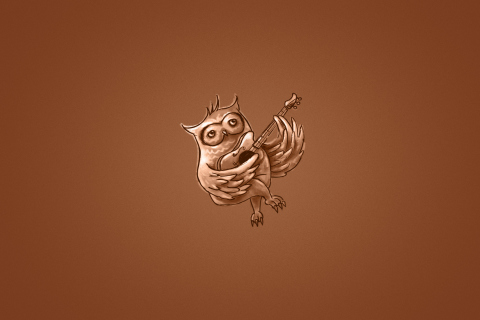Das Funny Owl Playing Guitar Illustration Wallpaper 480x320