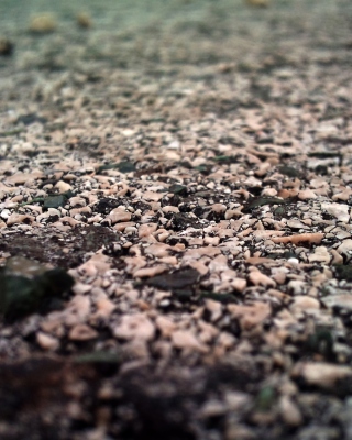 Asphalt - Obrázkek zdarma pro 320x480