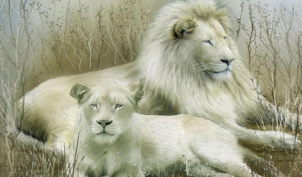 Das White Lions Wallpaper 1024x600
