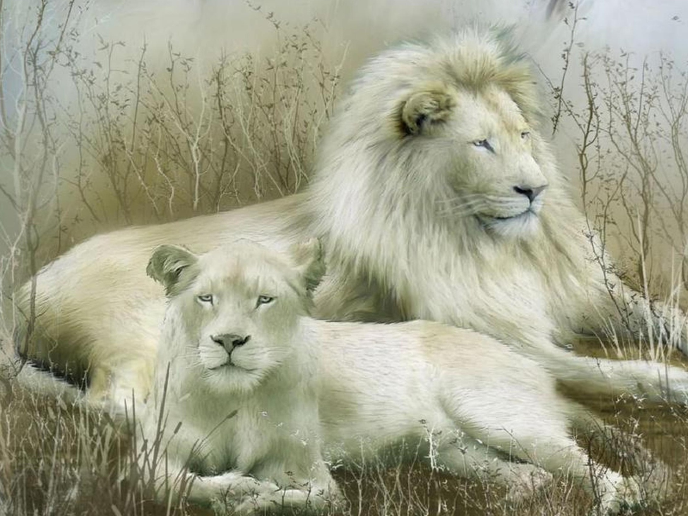 White Lions wallpaper 1400x1050