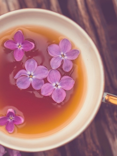 Lilac Tea wallpaper 240x320