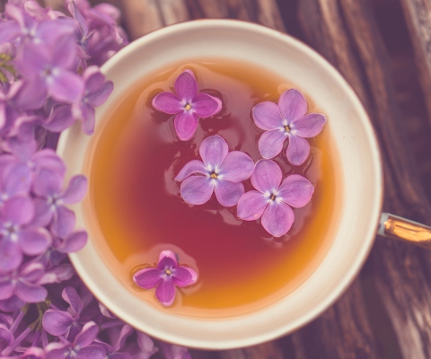 Lilac Tea screenshot #1 480x400