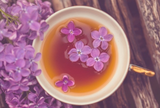 Kostenloses Lilac Tea Wallpaper für Android, iPhone und iPad