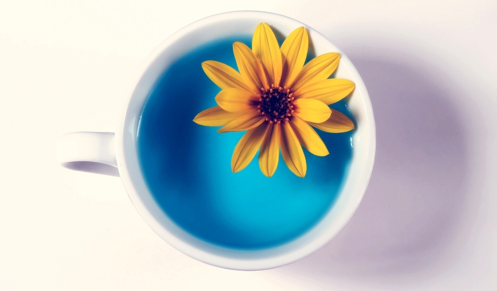 Yellow Flower Blue Water screenshot #1 1024x600
