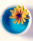 Yellow Flower Blue Water wallpaper 128x160