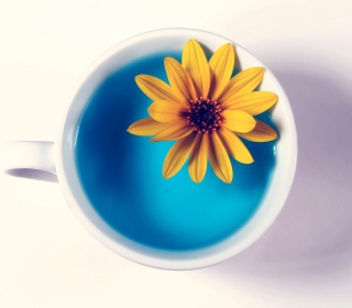 Картинка Yellow Flower Blue Water на iPad