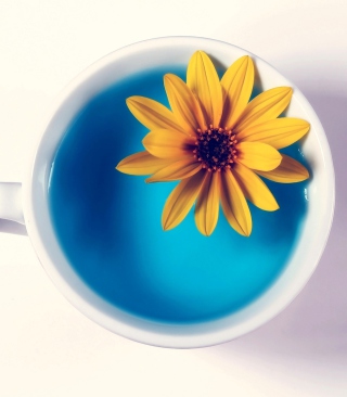 Yellow Flower Blue Water - Obrázkek zdarma pro Nokia C2-01