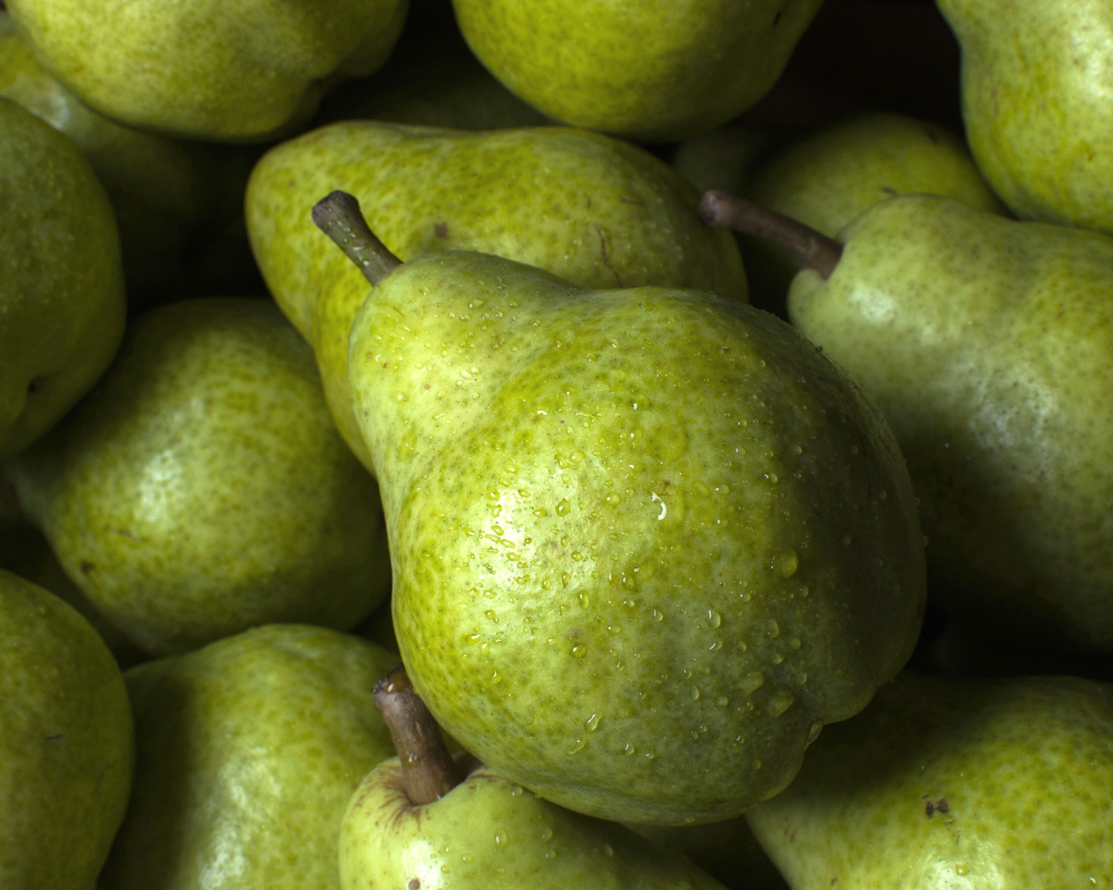 Fruit Pear wallpaper 1600x1280