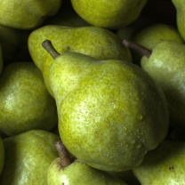 Fruit Pear screenshot #1 208x208