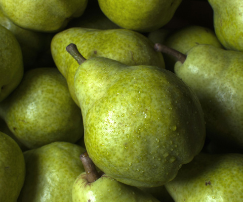 Fruit Pear screenshot #1 480x400