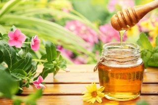 Honey Jar - Obrázkek zdarma 