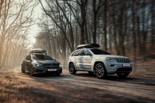 Free Jeep VS Mercedes Picture for Android, iPhone and iPad