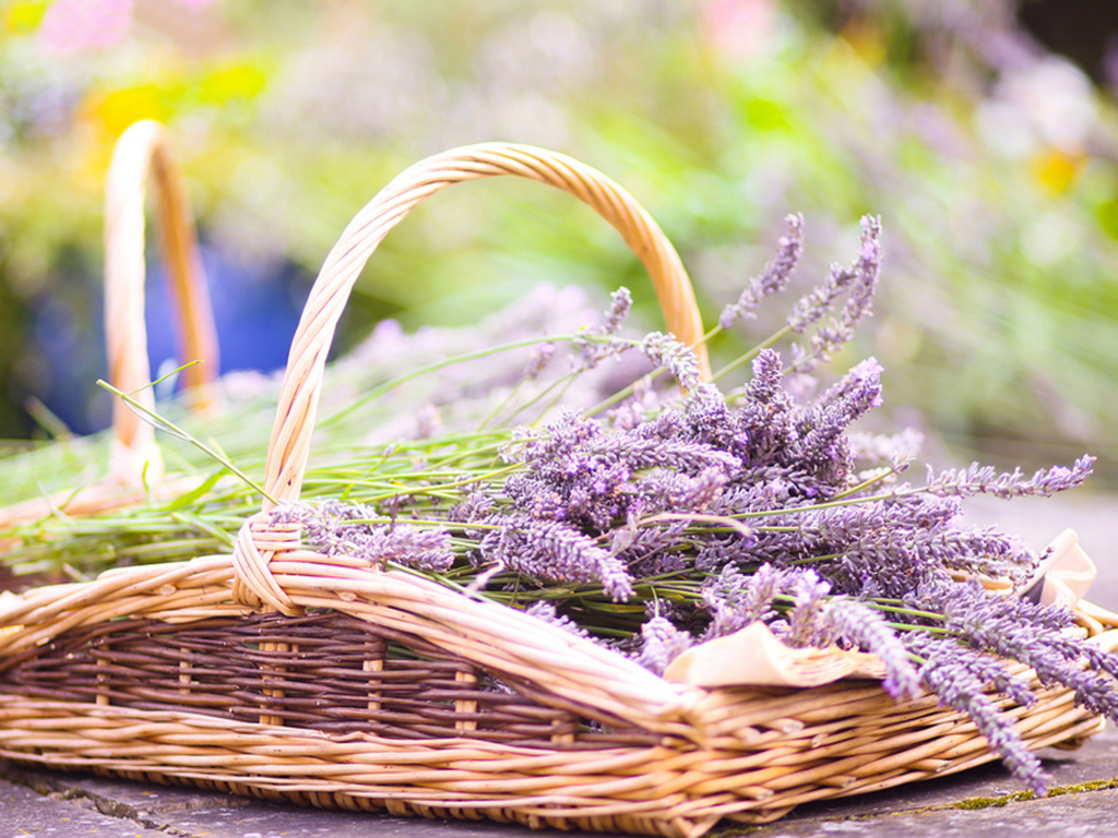 Fondo de pantalla Lavender Bouquet In Basket 1024x768