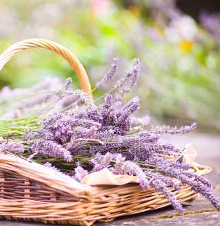 Lavender Bouquet In Basket - Obrázkek zdarma pro 2048x2048