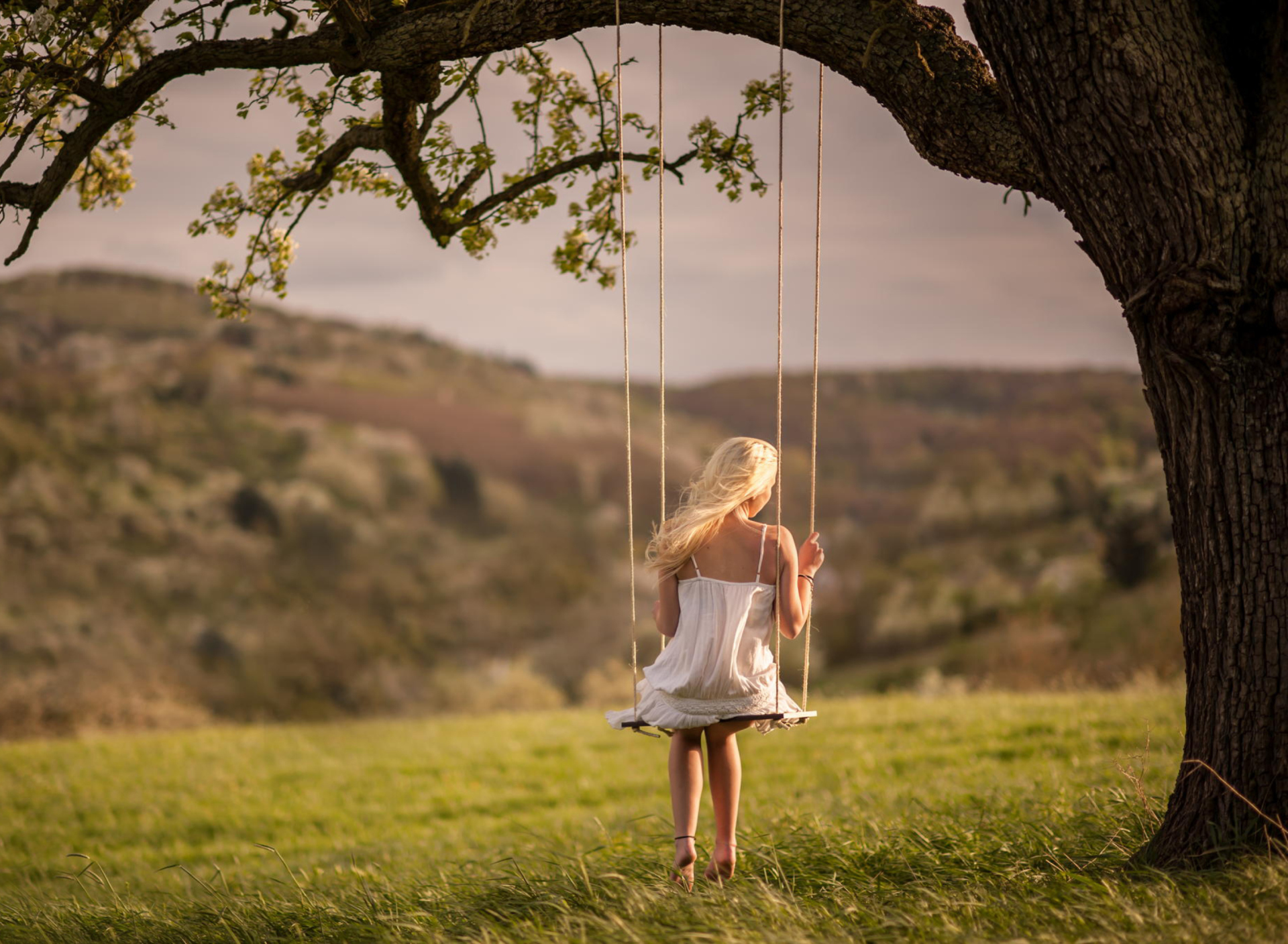 Обои Girl On Tree Swing 1920x1408