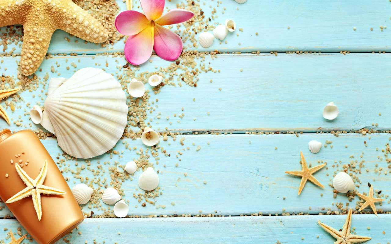 Seashells wallpaper 1280x800