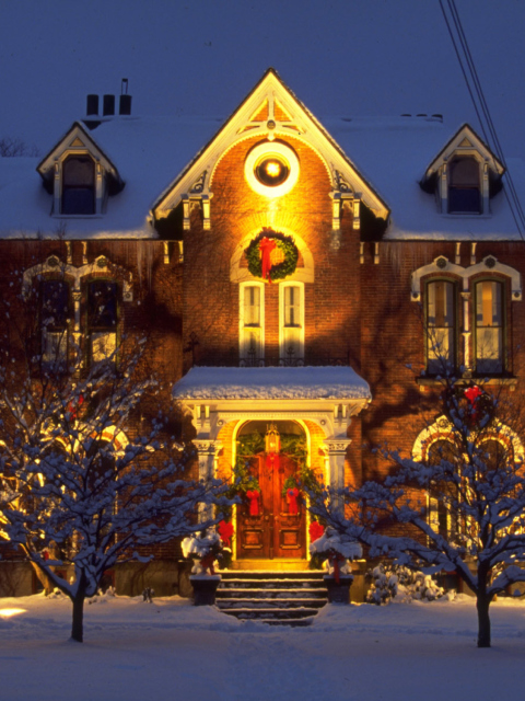 Home Christmas Decoration screenshot #1 480x640