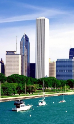 Screenshot №1 pro téma Michigan Lake Chicago 240x400