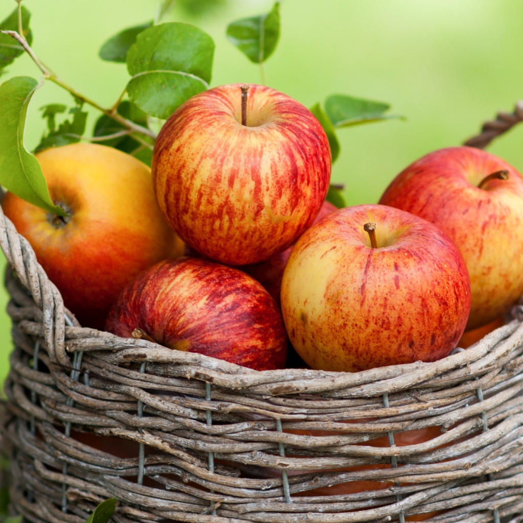 Apple Basket wallpaper 1024x1024