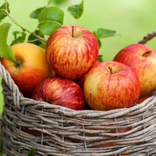 Free Apple Basket Picture for iPad 2