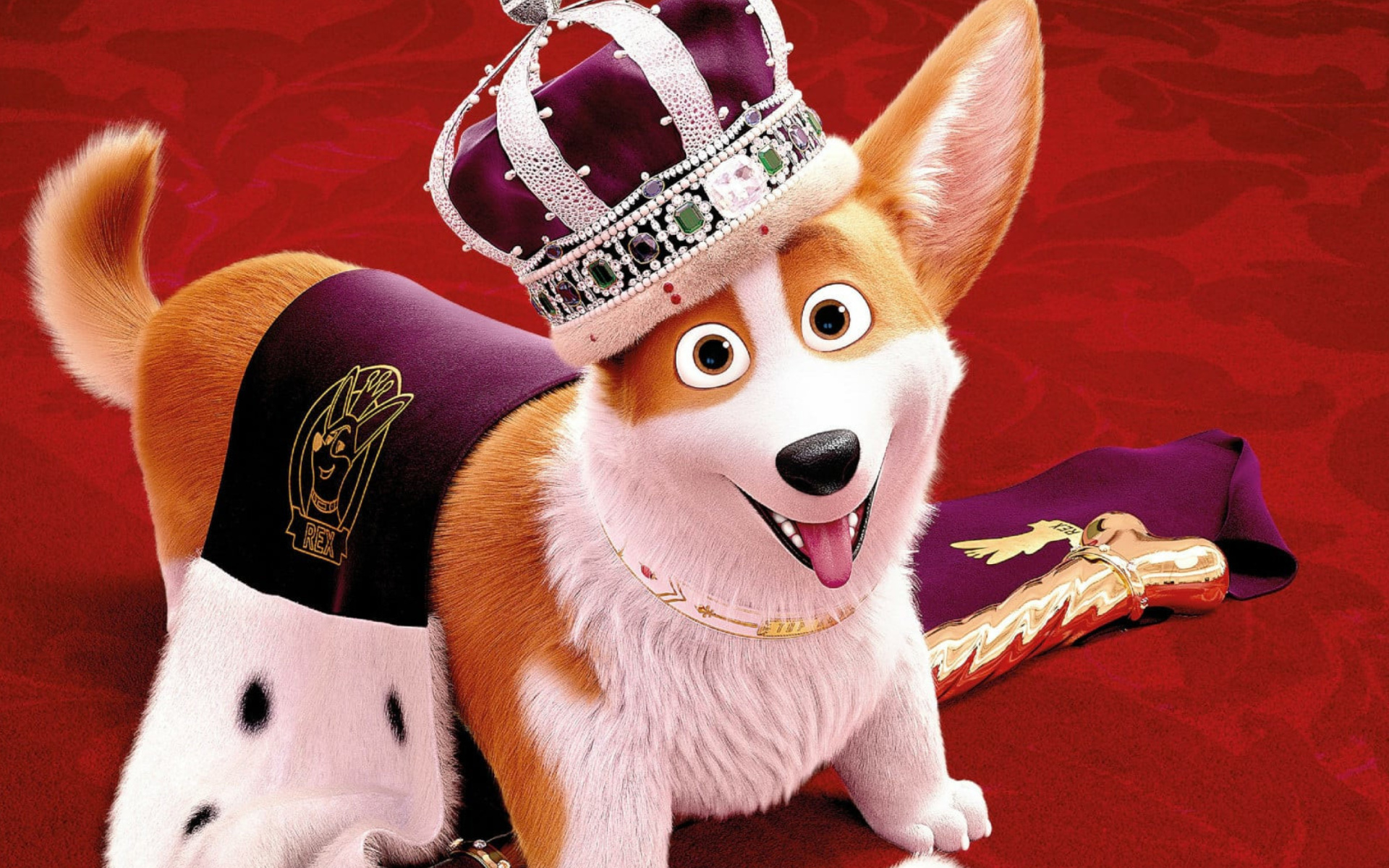 Fondo de pantalla Queens Corgi 1920x1200