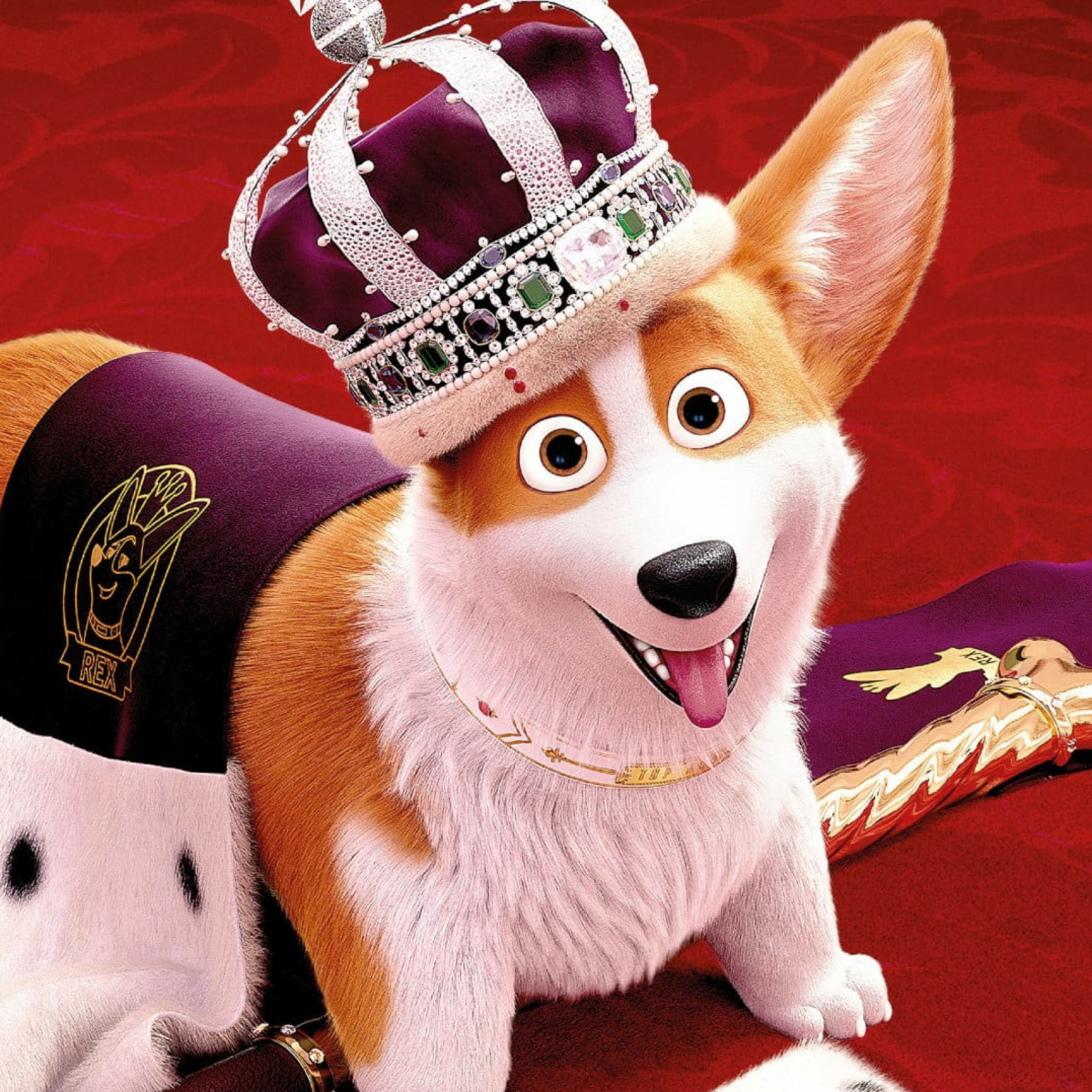 Fondo de pantalla Queens Corgi 2048x2048