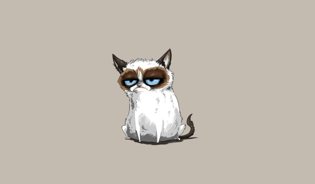 Das Grumpy Cat Drawing Wallpaper 1024x600