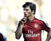 Screenshot №1 pro téma Andrei Arshavin 176x144