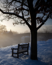 Screenshot №1 pro téma Bench Covered With Snow 176x220