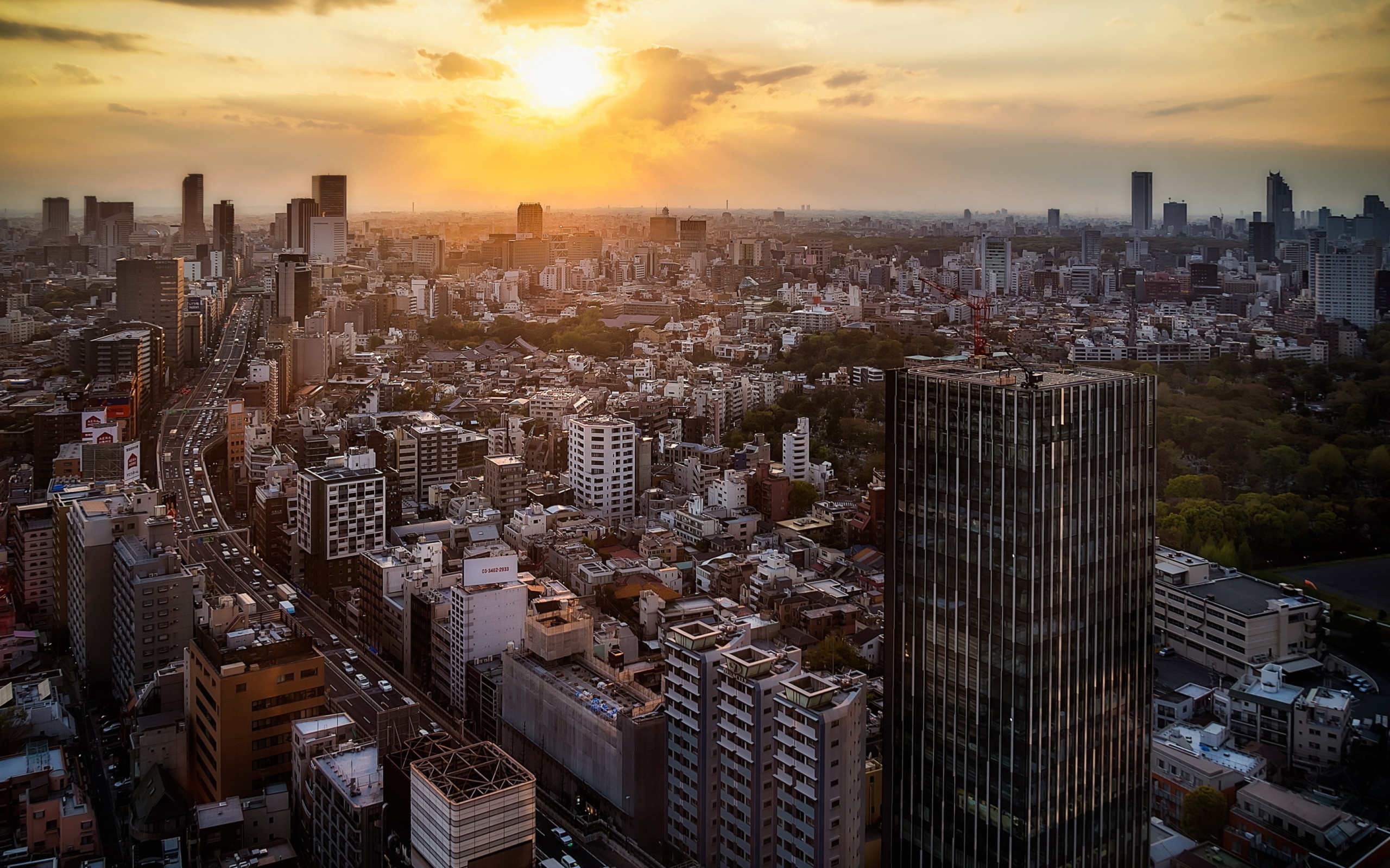 Screenshot №1 pro téma Sunset Over Tokyo 2560x1600