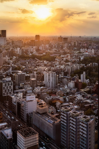 Fondo de pantalla Sunset Over Tokyo 320x480