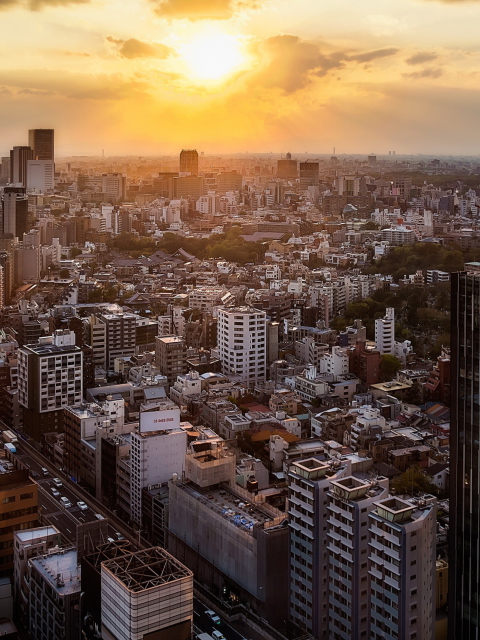 Fondo de pantalla Sunset Over Tokyo 480x640
