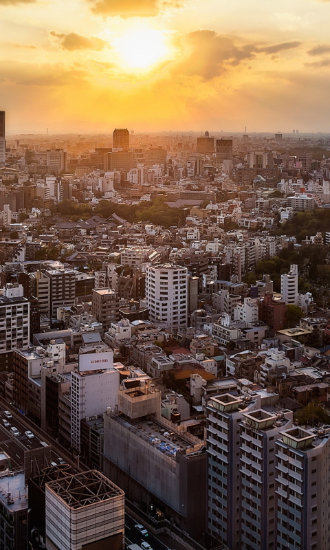 Fondo de pantalla Sunset Over Tokyo 480x800