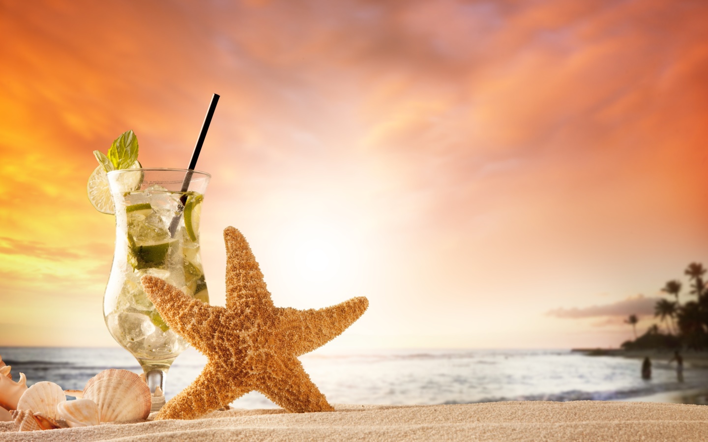 Beach Drinks Cocktail wallpaper 1440x900