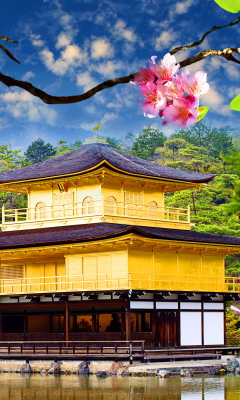 Обои Golden Pavilion - Kinkaku-Ji 240x400
