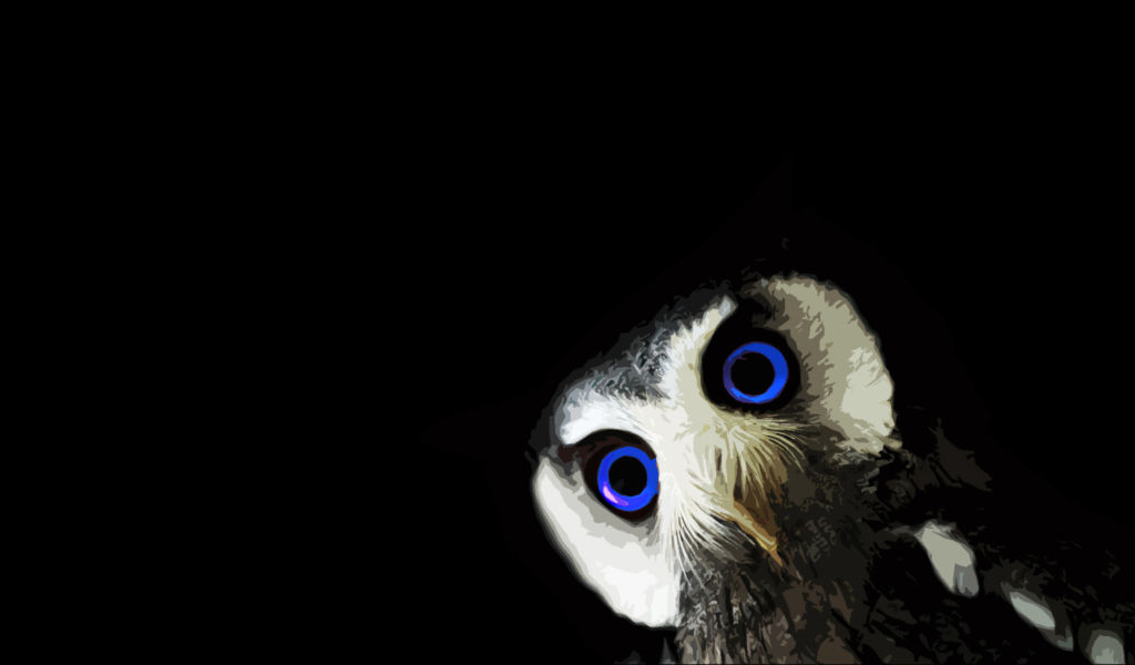 Funny Owl With Big Blue Eyes screenshot #1 1024x600
