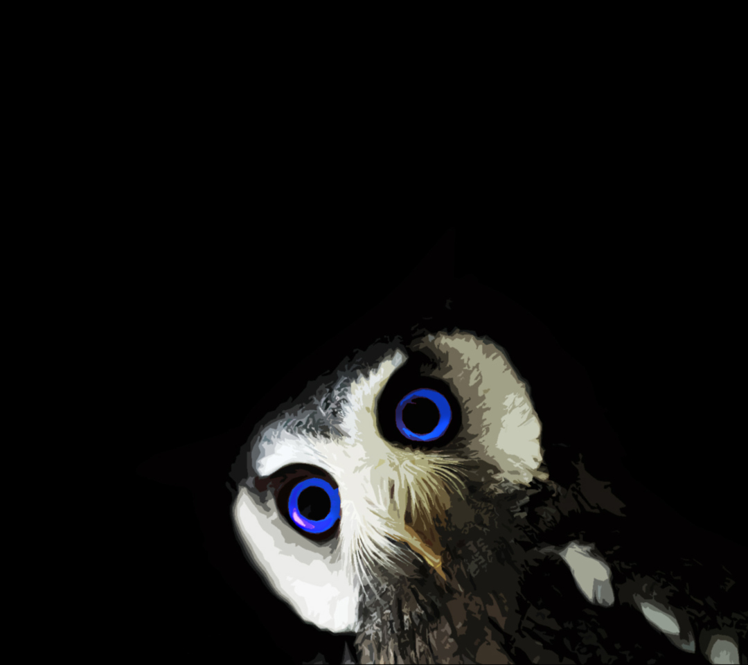 Das Funny Owl With Big Blue Eyes Wallpaper 1080x960