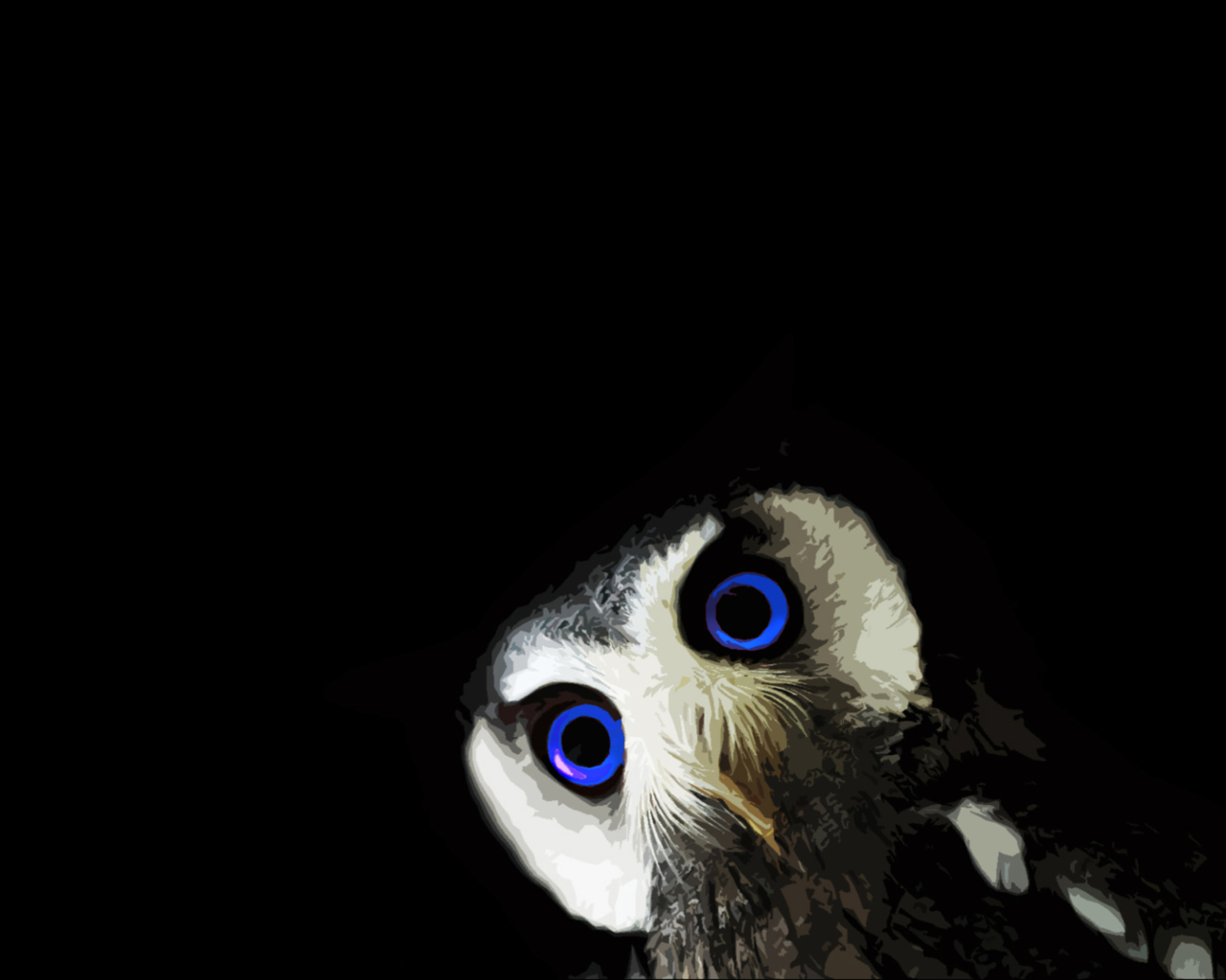 Обои Funny Owl With Big Blue Eyes 1280x1024