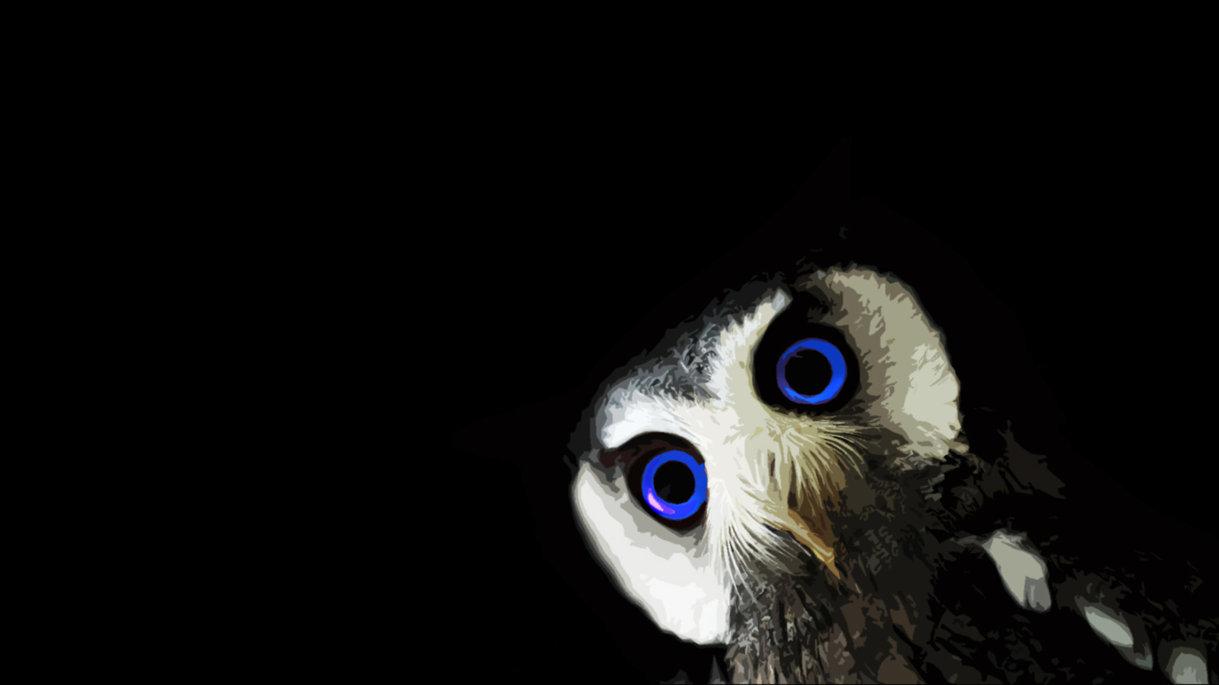 Funny Owl With Big Blue Eyes screenshot #1 1366x768