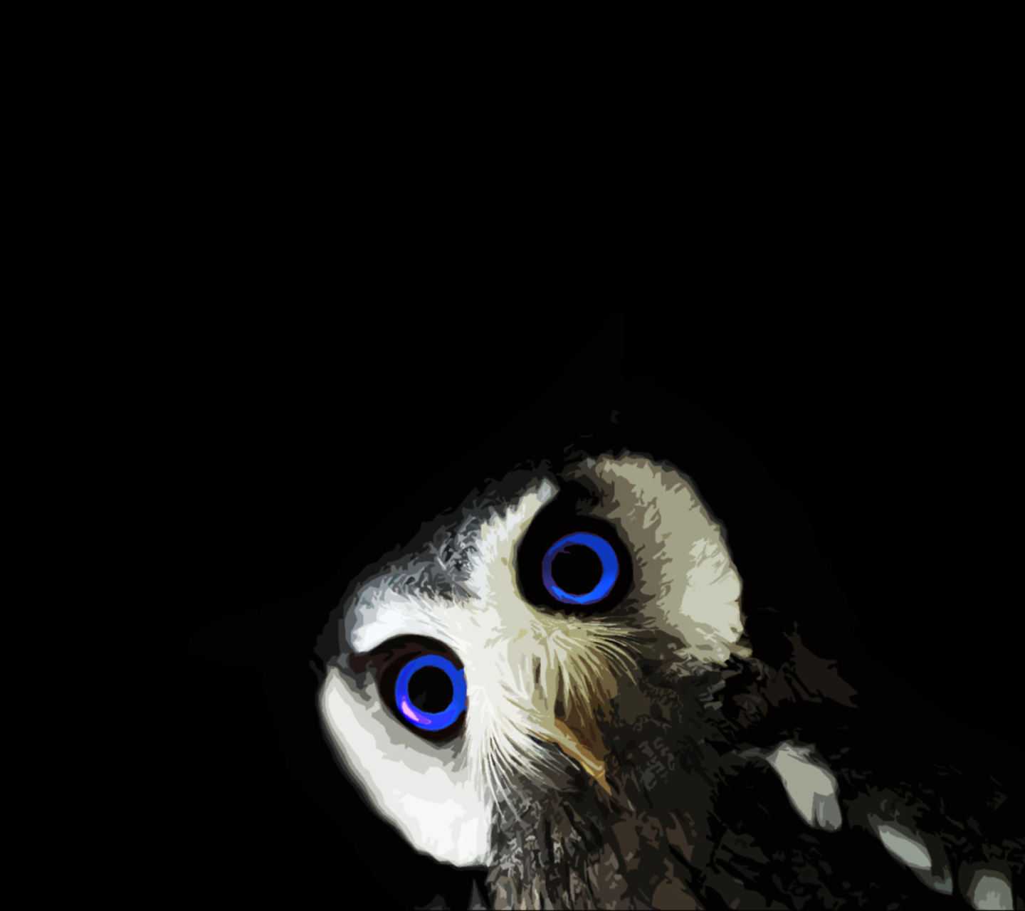 Fondo de pantalla Funny Owl With Big Blue Eyes 1440x1280